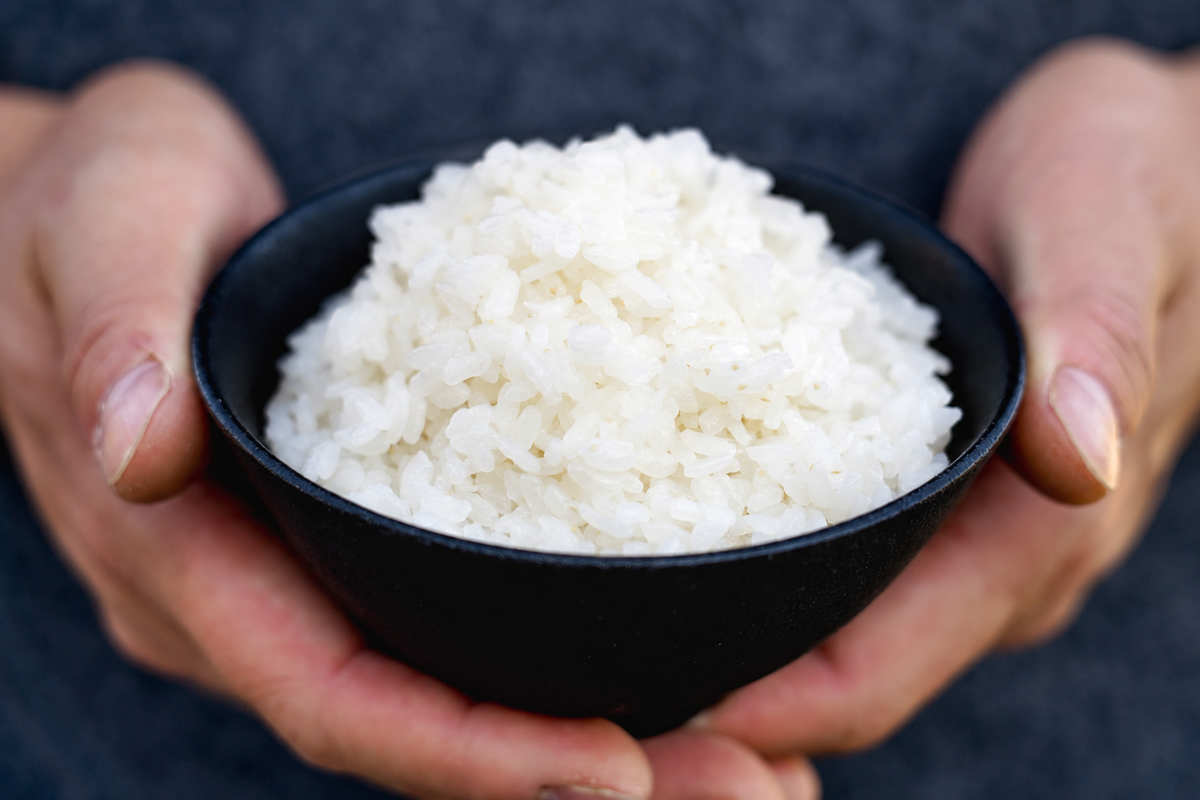 10/1発売【新米・送料無料】能登から届く 特別栽培米コシヒカリ <白米 5kg>