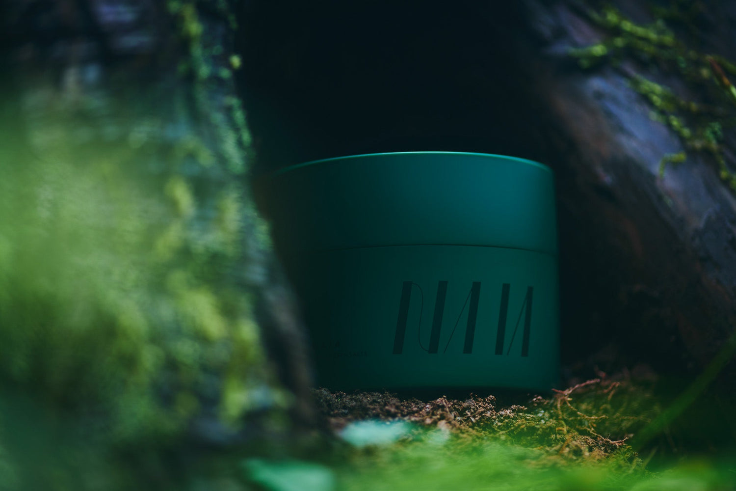 【ELLE Japon 2025年6月号】掲載