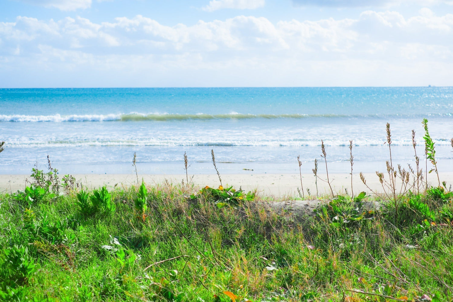 ＜代表コラム vol.1＞ 能登で気づいた、時間の流れがつくる豊かさの話