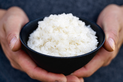 10/1発売【新米・送料無料】能登から届く 特別栽培米コシヒカリ ＜白米 5kg＞