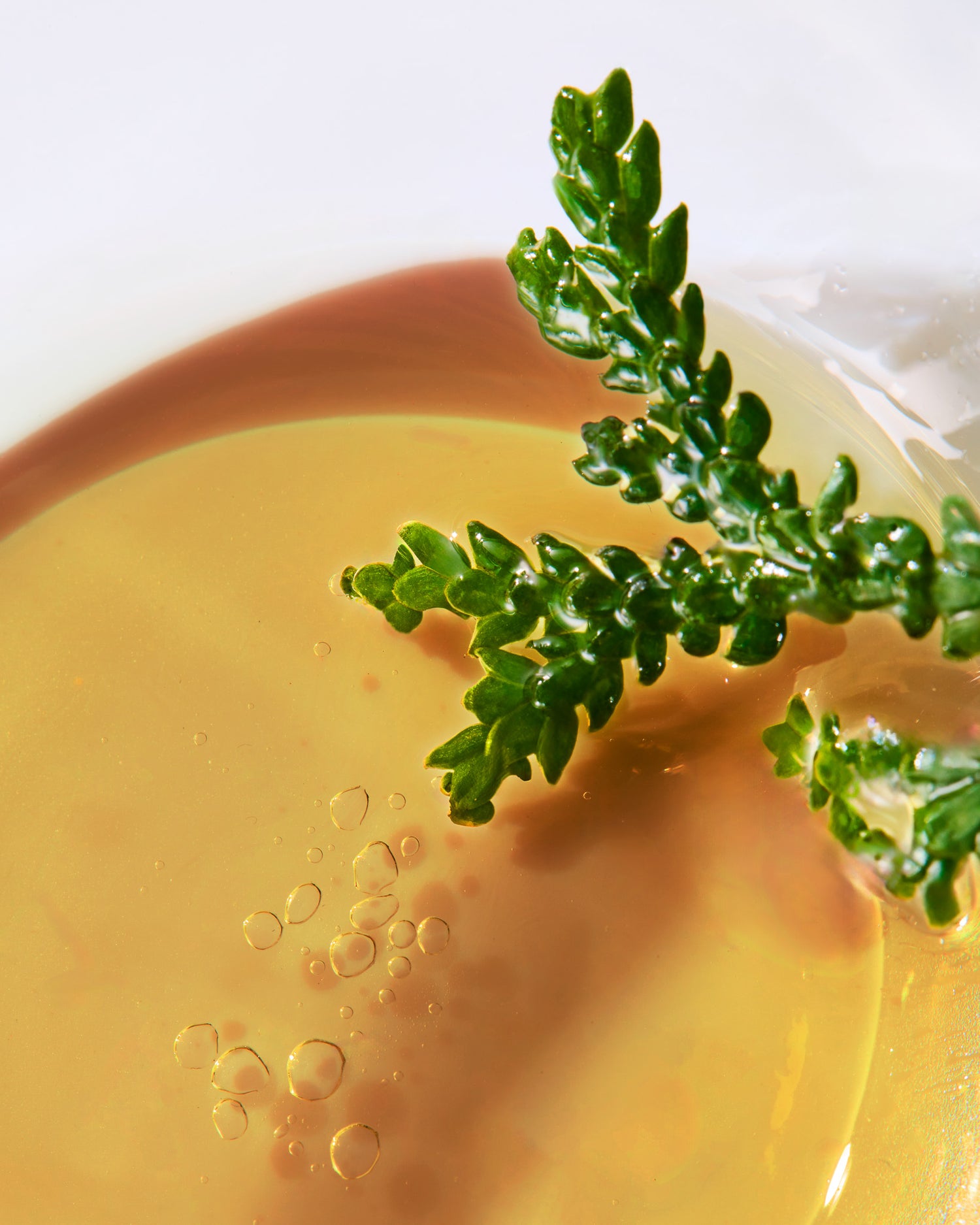 モイストハンドソープ　雨上がりの森の香り