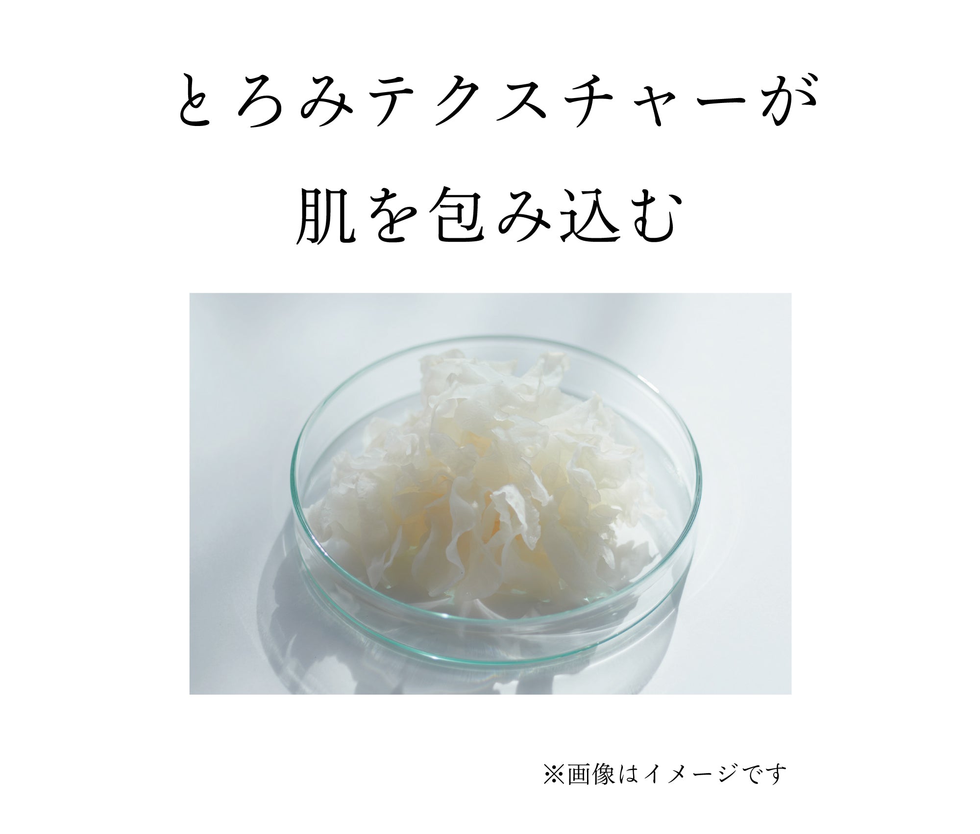 酒粕クリアエッセンスローション 120ml – NAIA