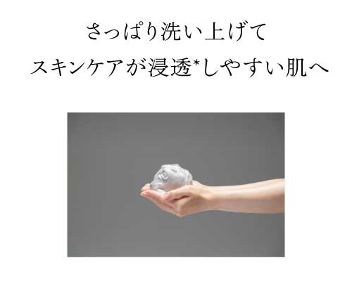 菊炭＆熟成酒粕配合 洗顔フォーム 100g クスノキ – NAIA