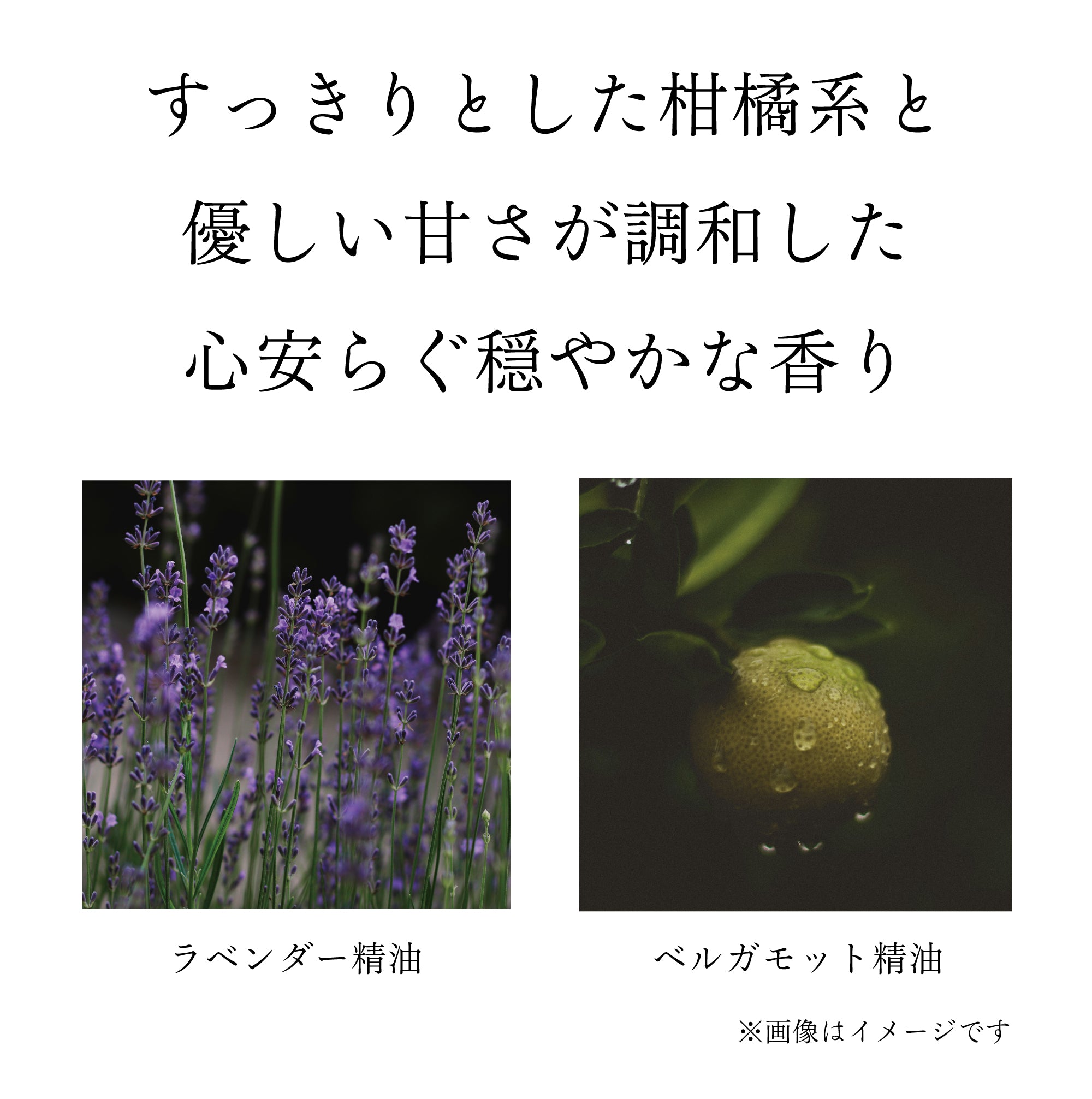 コメヌカ プレシャスセラムエマルション 50ml – NAIA