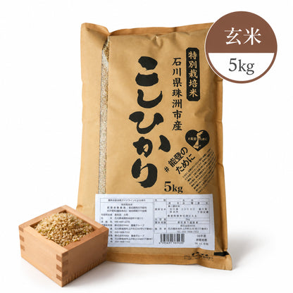 【新米・送料無料】能登から届く 特別栽培米コシヒカリ ＜玄米 5kg＞